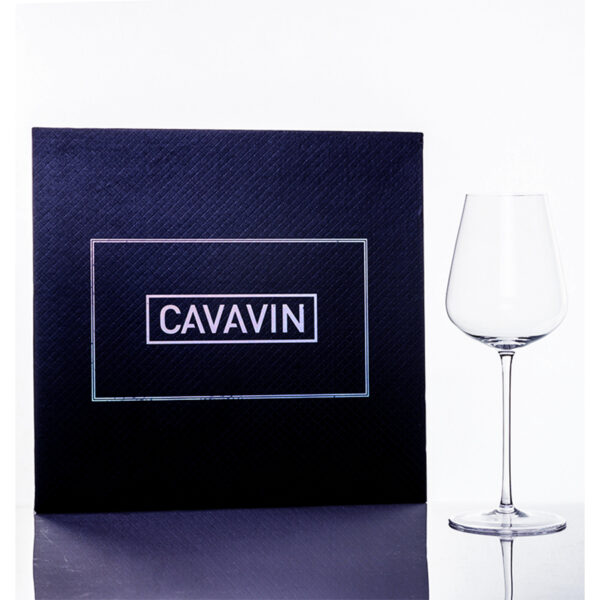 Cavavin Wine Glasses - Set of 4