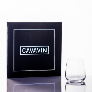 Cavavin Whiskey Glasses - Set of 4